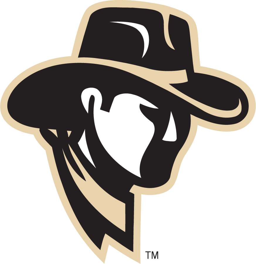 Wyoming Cowboys 2000-2007 Secondary Logo v2 diy iron on heat transfer
